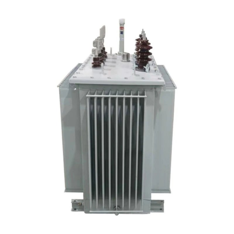S13 Transformator electric monofazat immers în ulei